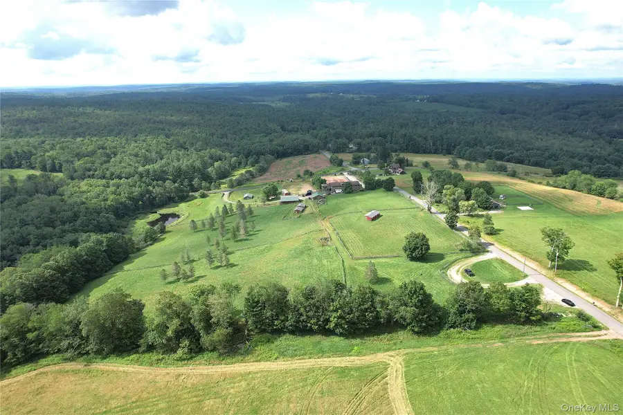 282 W Shore Road, Swan Lake, NY 12783 - Image #3