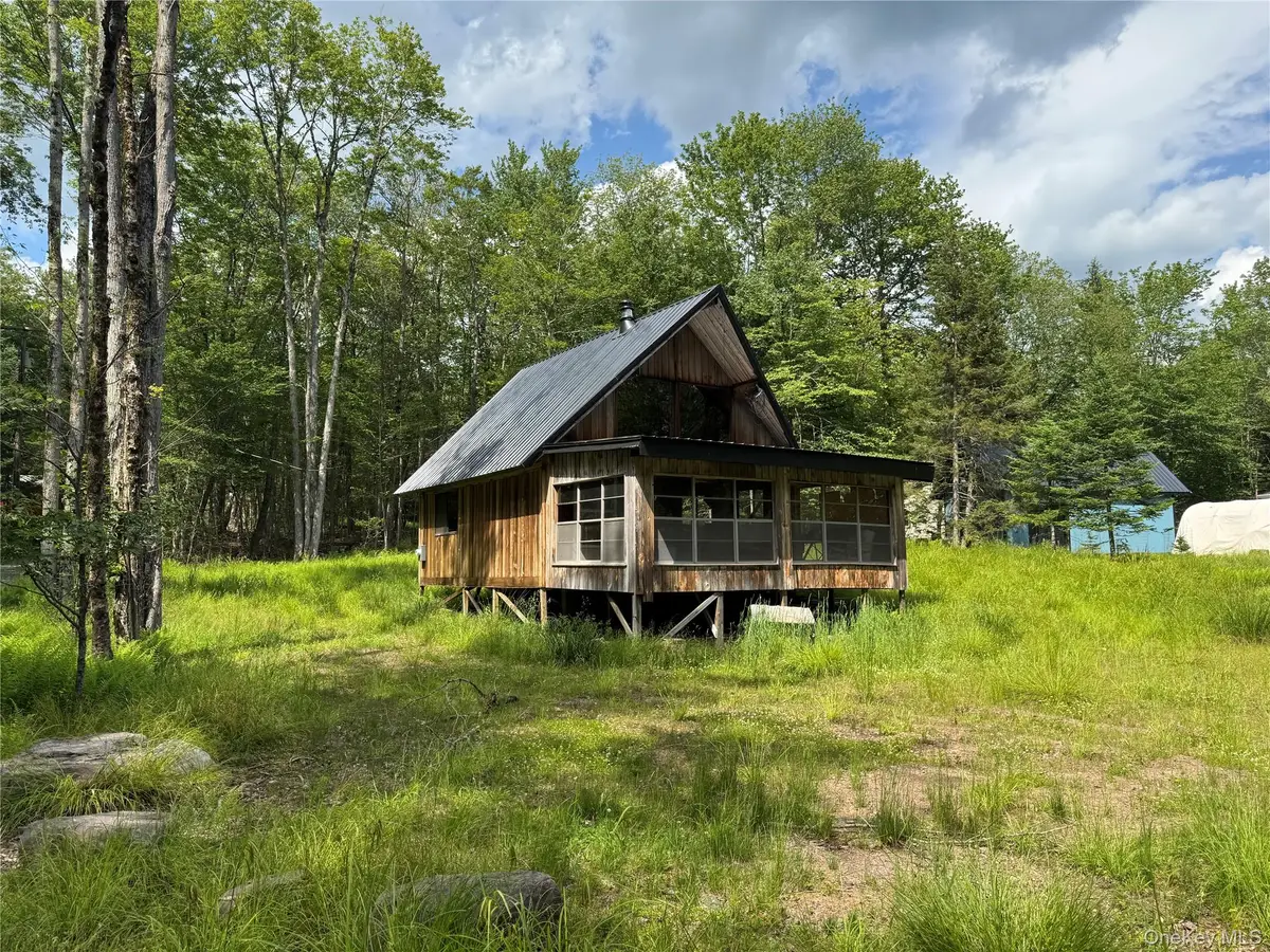 2 W Forest Lane, Parksville, NY 12768 - Image #1