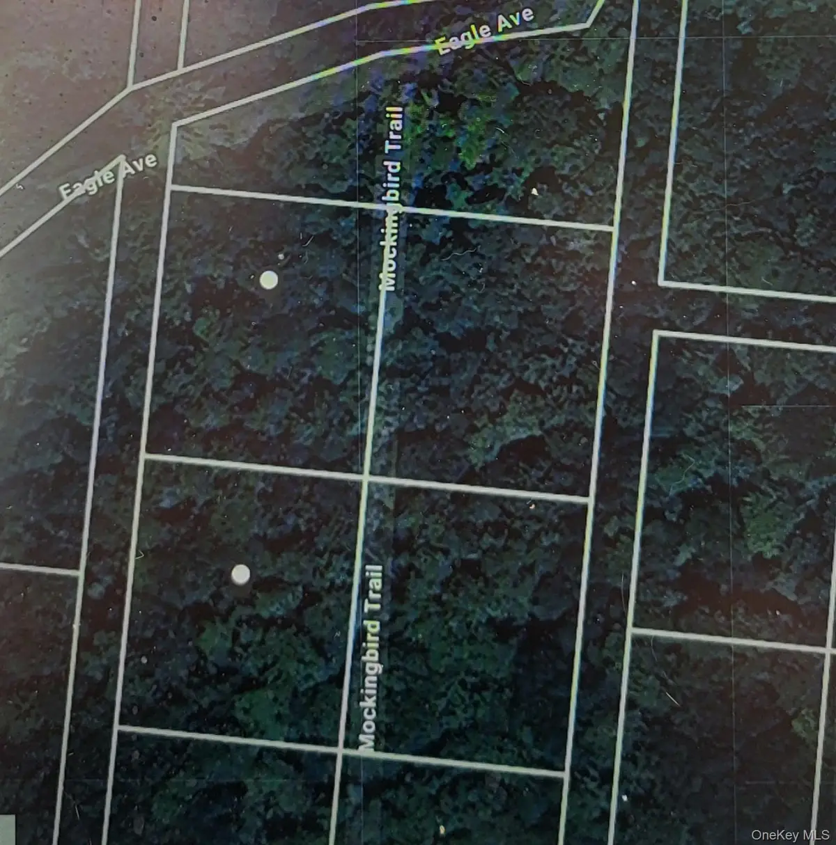 Mockingbird Trail, Bethel, NY 12720 - Image #1