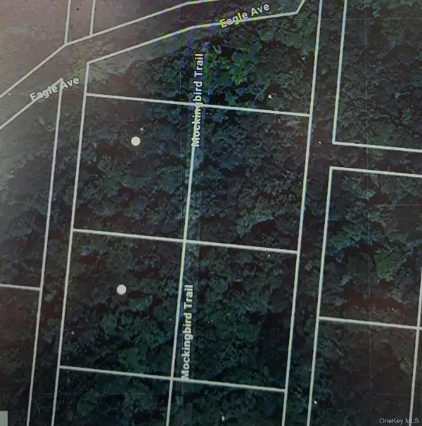 Mockingbird Trail, Bethel, NY 12720