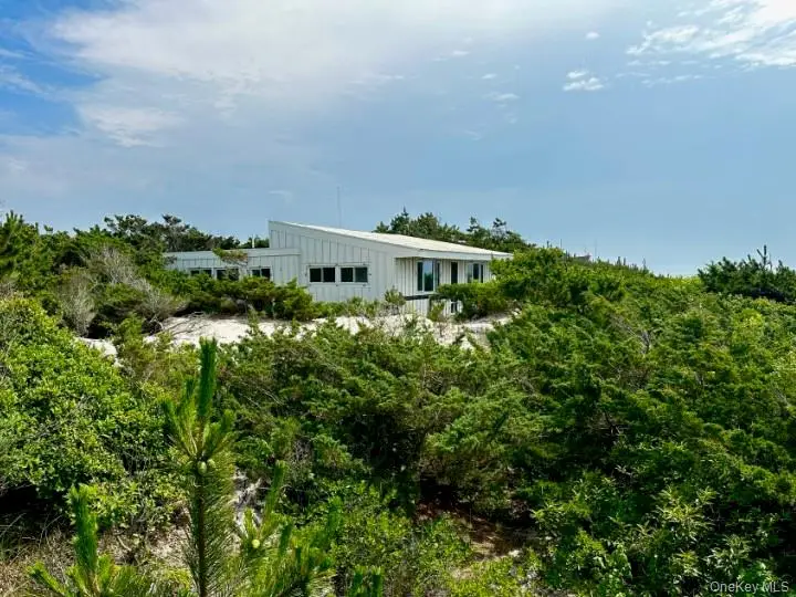 54 Lewis Walk, Fire Island, NY 11782 - Image #2