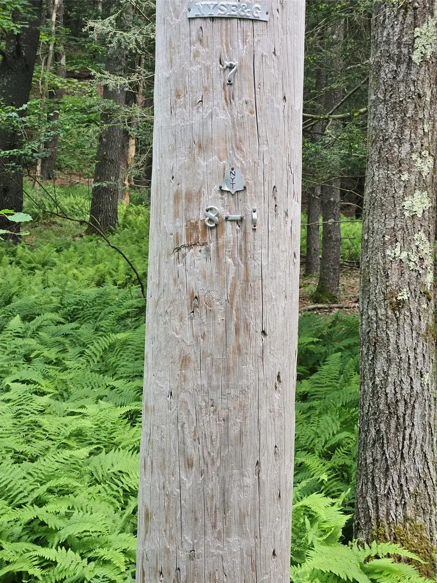 Hurd And Parks Road, Kauneonga Lake, NY  - Image #2