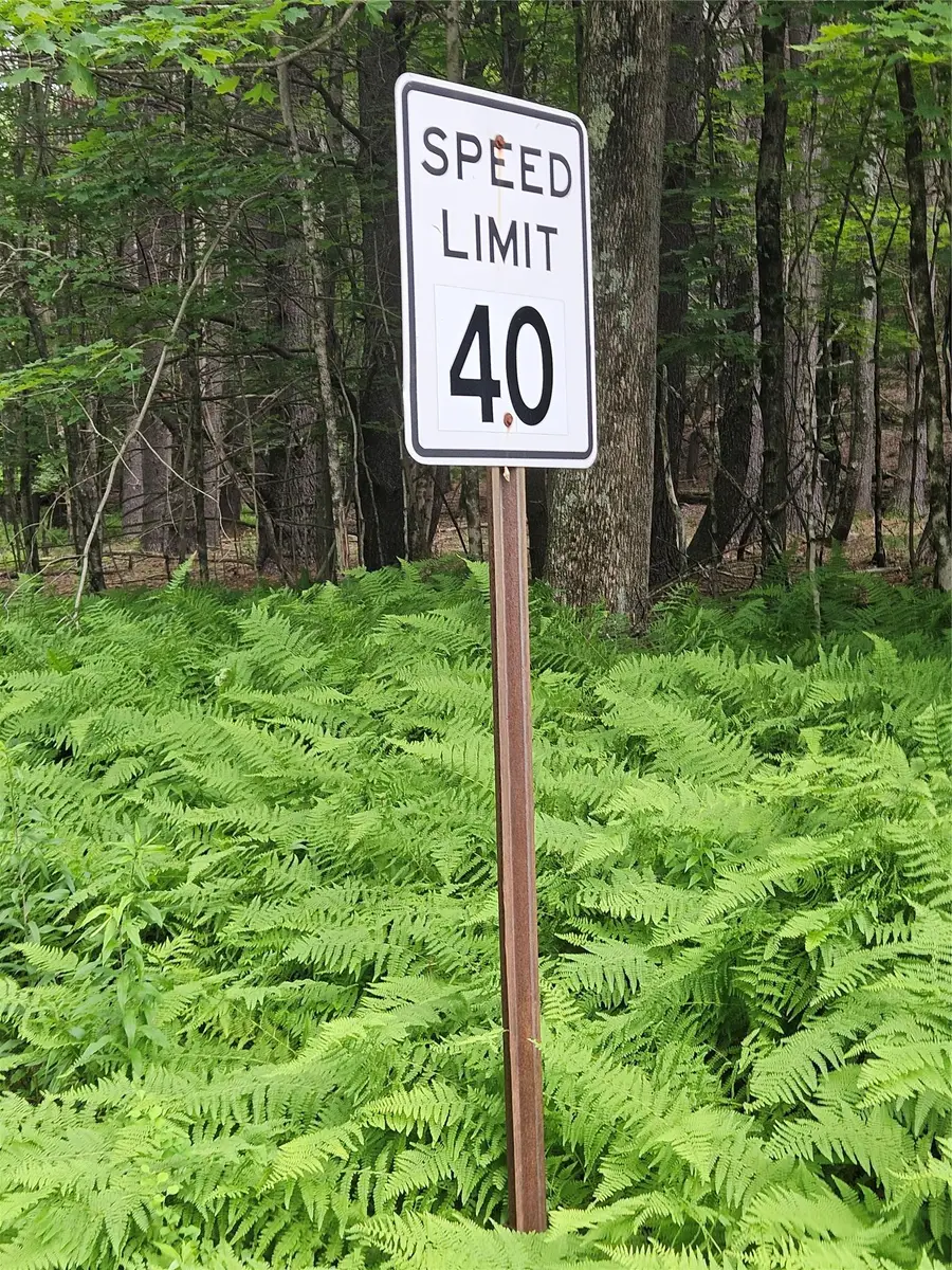 Hurd And Parks Road, Kauneonga Lake, NY  - Image #3