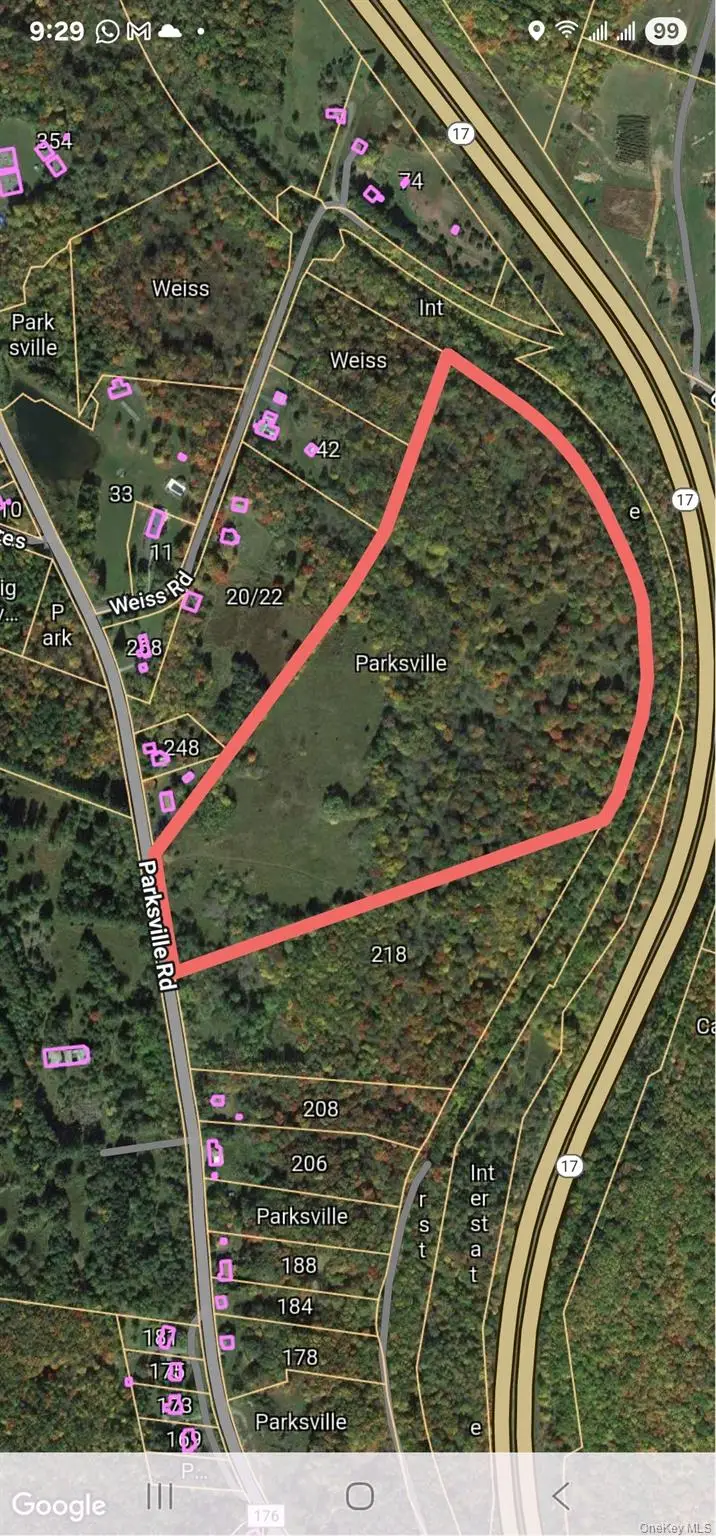 T/B/D Parksville Road, Parksville, NY 12768 - Image #1