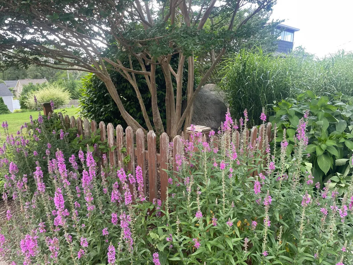 Beaver Drive, Kings Park, NY 11754 - Image #1