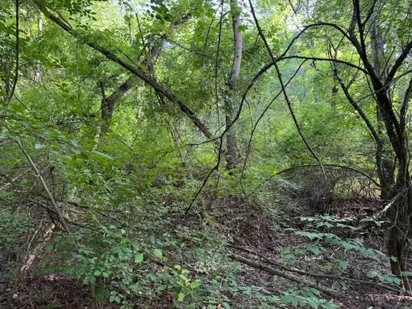 Manor Drive, Lagrangeville, NY 