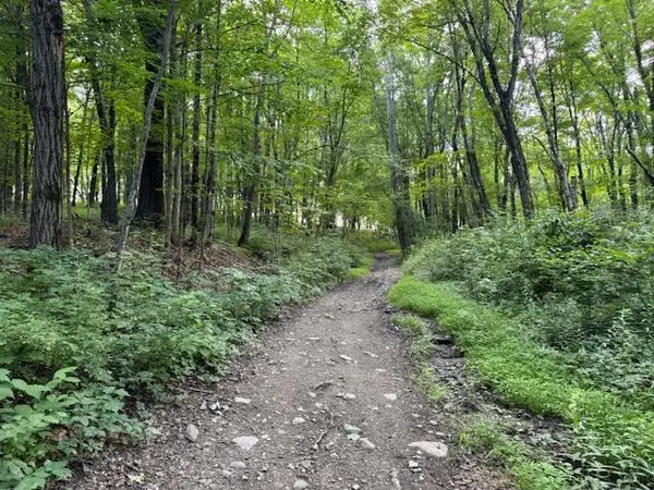 Manor Drive W & Arlene Road, Lagrangeville, NY 