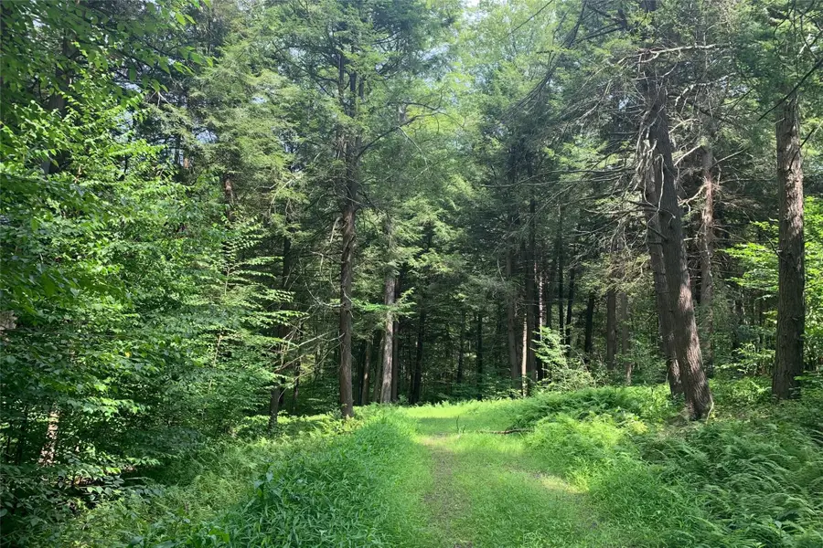 Lot 13 Woodstone Trail, Bethel, NY 12720 - Image #2