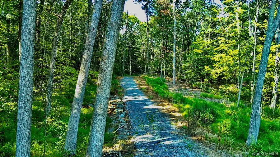 80 Forever Ivy Lane, Hyde Park, NY 12538 - Image #3