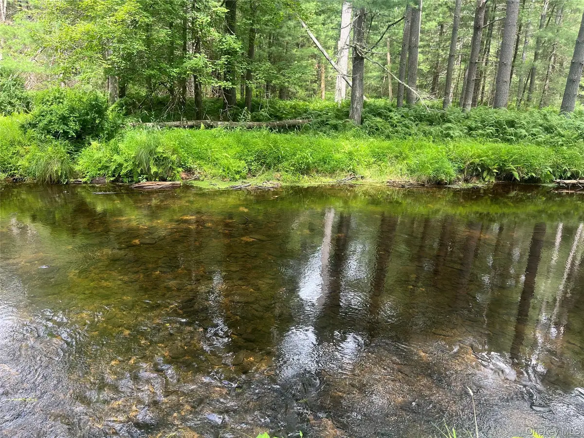 27 Woods Road, Yulan, NY 12792 - Image #1