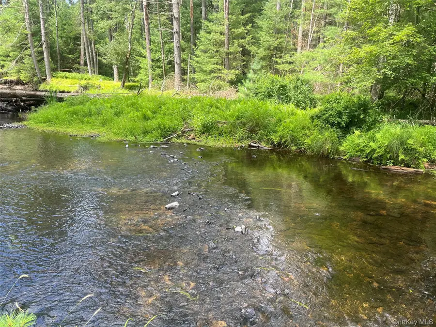 27 Woods Road, Yulan, NY 12792 - Image #2