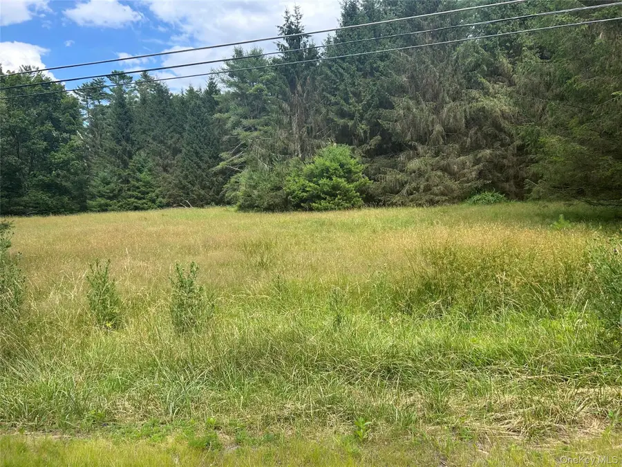 27 Woods Road, Yulan, NY 12792 - Image #3