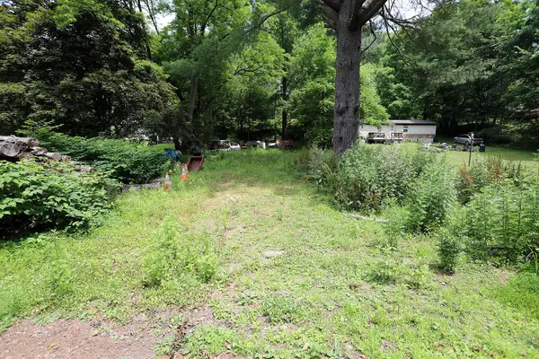 Railroad Avenue, Long Eddy, NY 