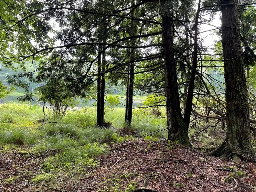 10.7 & 10.9 Cty Hwy 141 Horseshoe Lake Rd, Bethel, NY 12720 - Image #2