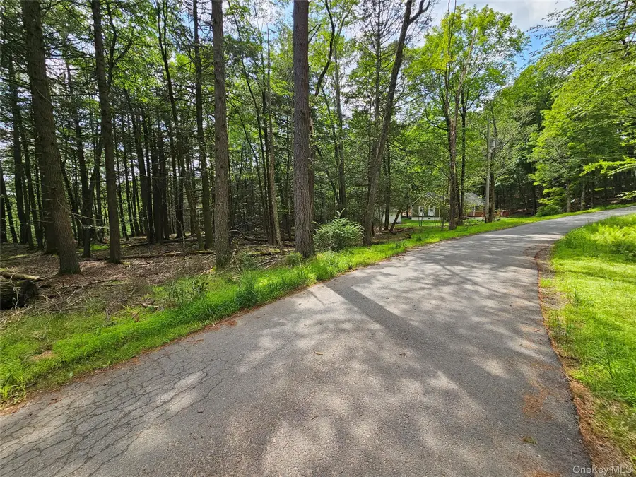 Highland Avenue, Smallwood, NY 12788 - Image #2