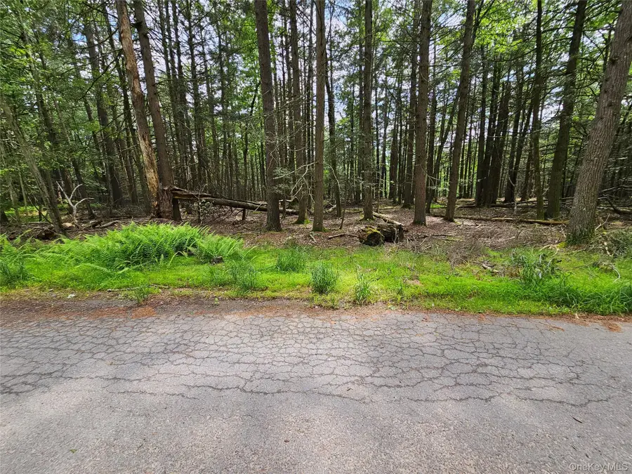 Highland Avenue, Smallwood, NY 12788 - Image #3