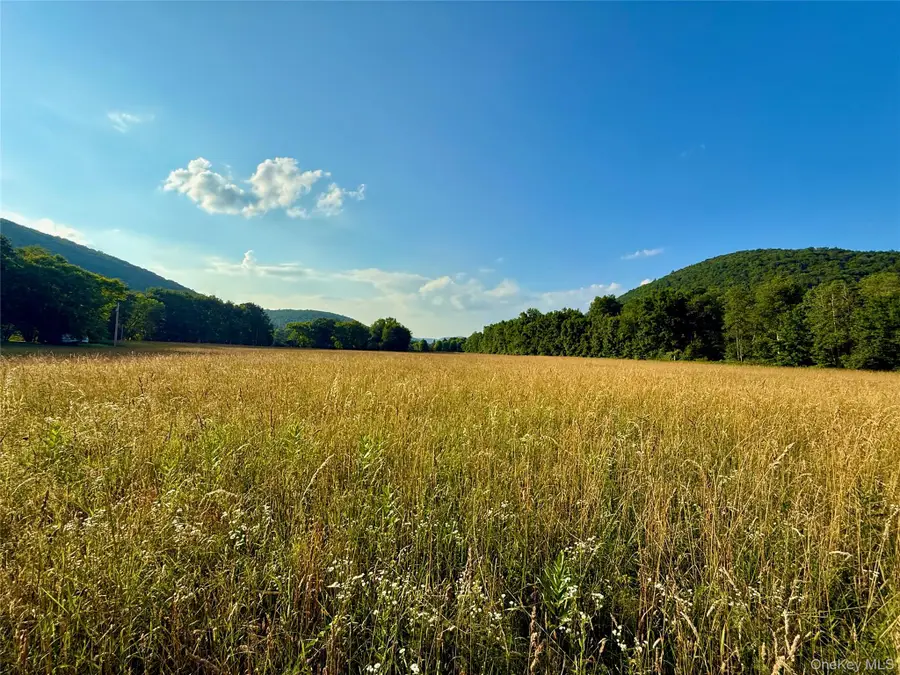 222 Stockport Road, Hancock, NY 13783 - Image #3