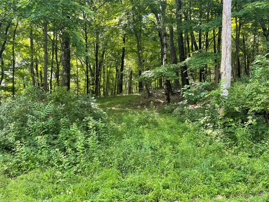 0 Fiddler's Bridge/schoolhouse Rd, Clinton Corners, NY  - Image #2