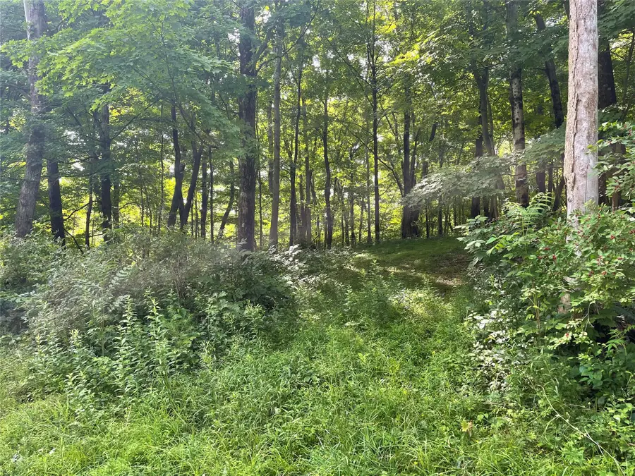 0 Fiddler's Bridge/schoolhouse Rd, Clinton Corners, NY  - Image #3