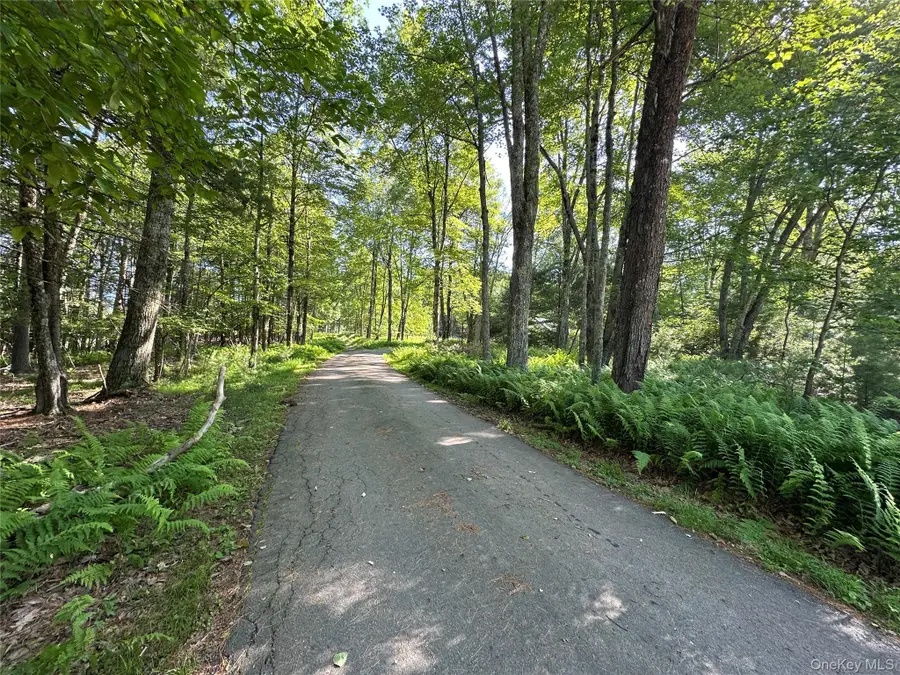 954 Rt 23 Lumberland Mt Hope Road, Narrowsburg, NY 12764 - Image #3