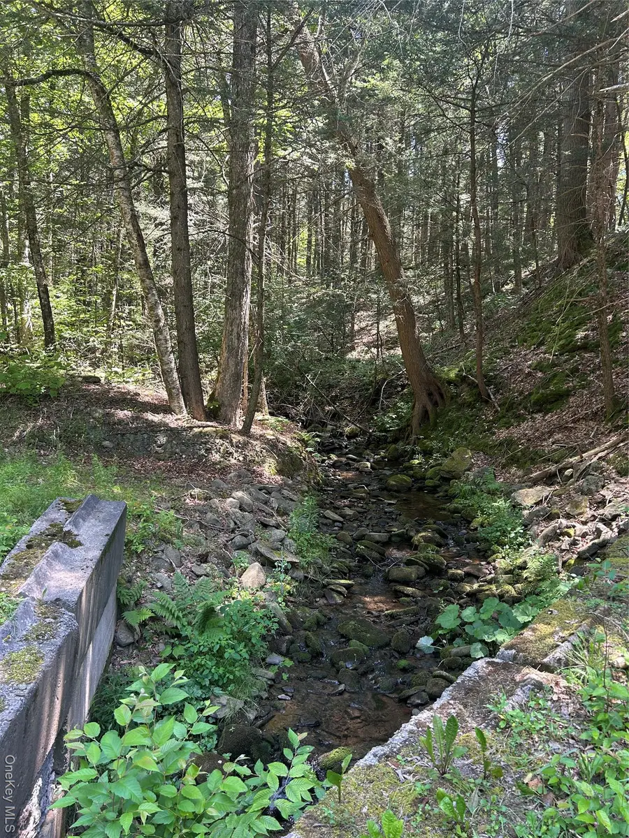 TBD Ahrens Road, Parksville, NY 12768 - Image #2