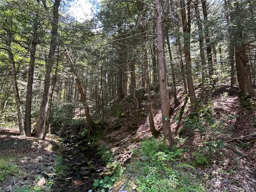 TBD Ahrens Road, Parksville, NY 12768 - Image #3