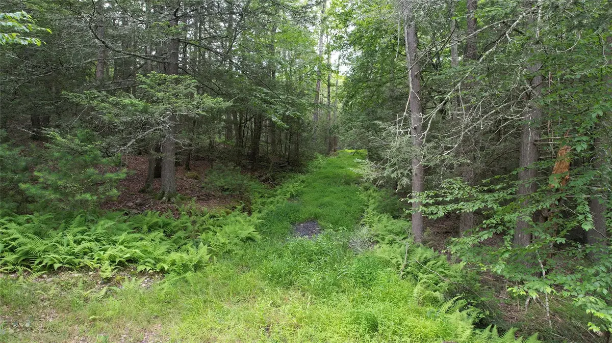 141 Brandt Road, Cuddebackville, NY 12729 - Image #1