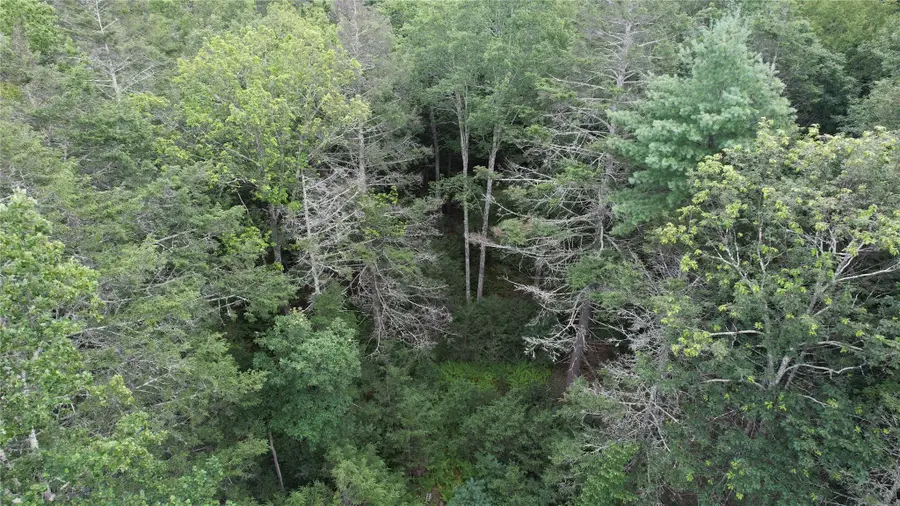 141 Brandt Road, Cuddebackville, NY 12729 - Image #2