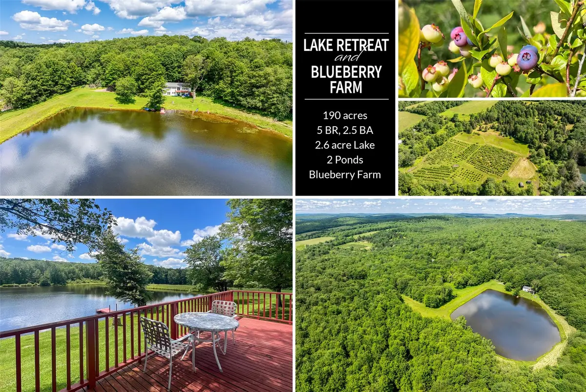 361 Warren Road, Delhi, NY 13753 - Image #1