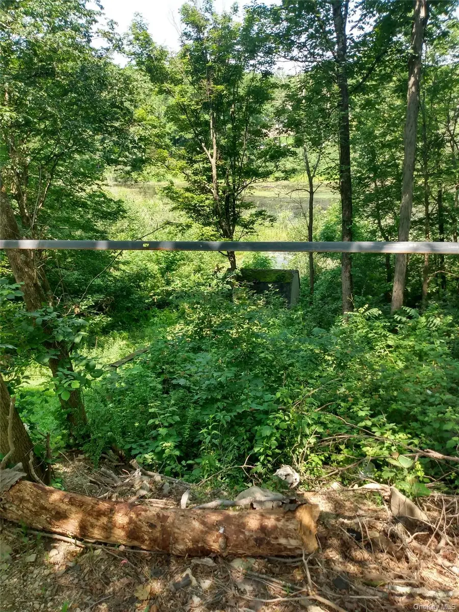 35 Lake Claire Drive, Middletown, NY 10940 - #3