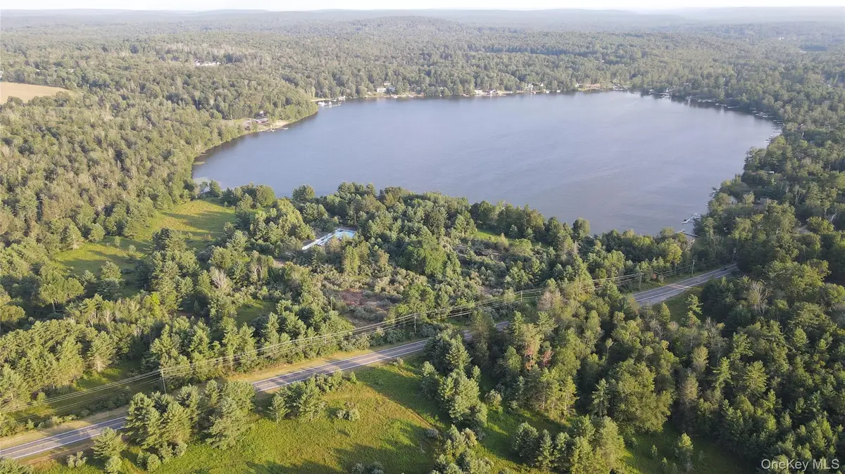 324 Acres Sackett Lake Road, Monticello, NY 12701 - Image #1