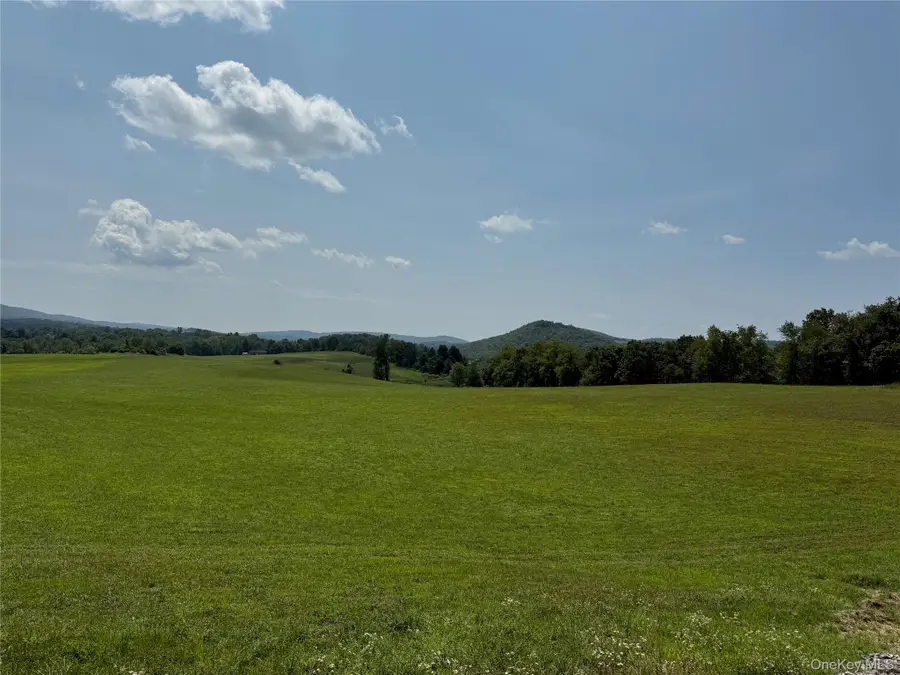 1131 E Ancram Road, Ancramdale, NY 12503 - Image #2