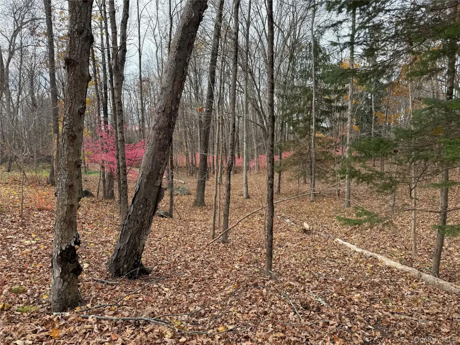 334 Bedford Banksville Road, Bedford, NY 10506 - Image #2