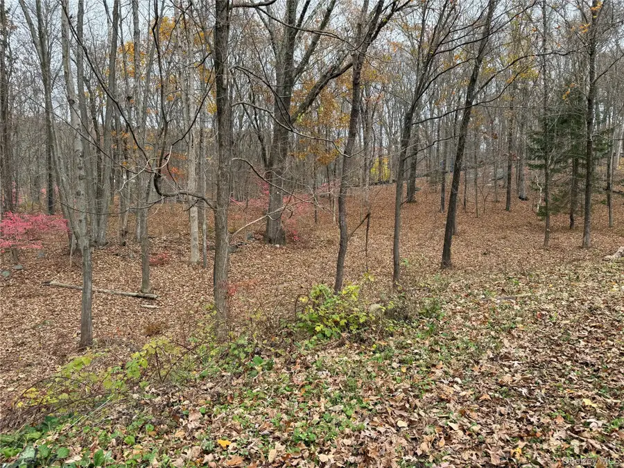 334 Bedford Banksville Road, Bedford, NY 10506 - Image #3