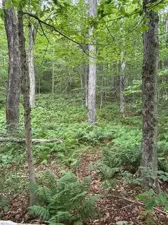 TBD Frost Valley, Claryville, NY 