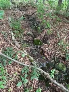 TBD Frost Valley, Claryville, NY  - Image #3