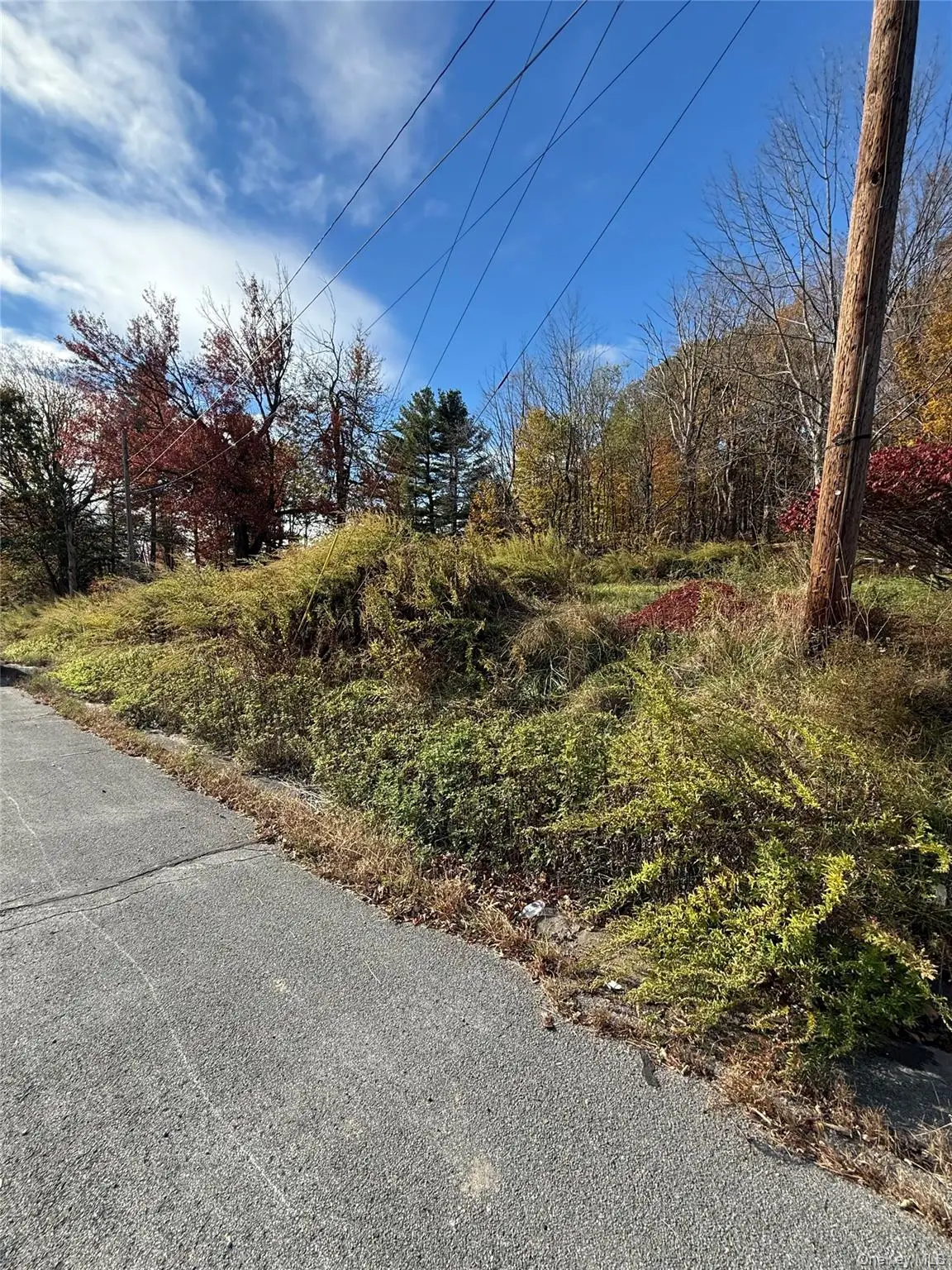 2714 State Route 52, Liberty, NY 12754 - Image #1