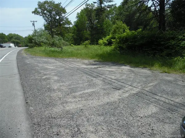 TBD Wurtsboro Mountain Rd, Wurtsboro, NY 12790