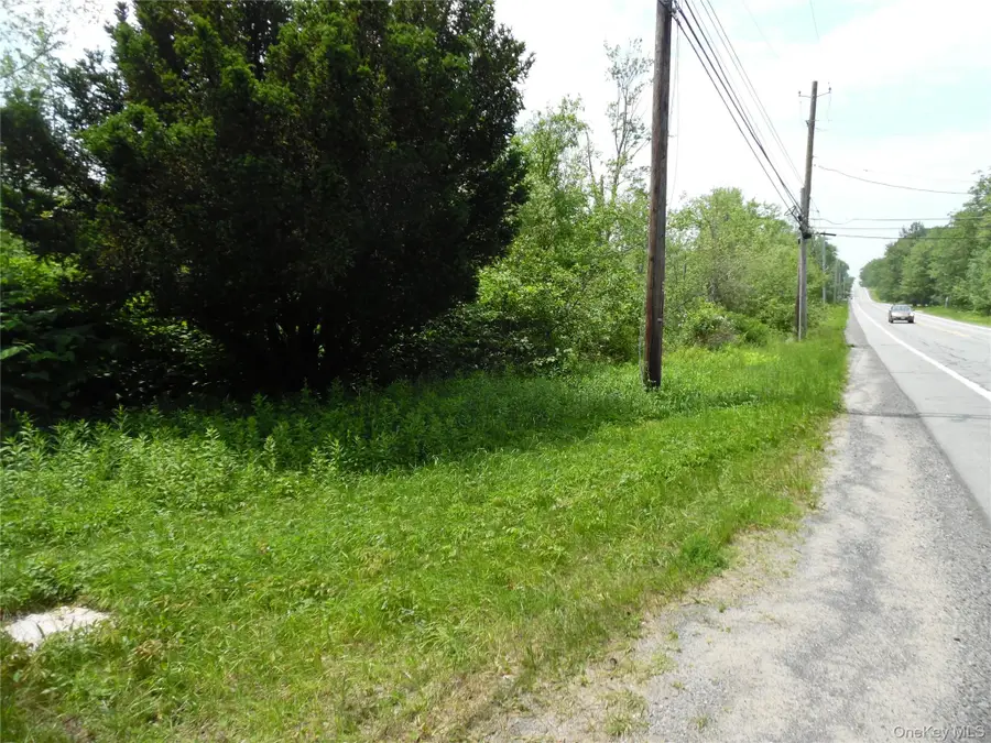 TBD Wurtsboro Mountain Rd, Wurtsboro, NY 12790 - Image #3