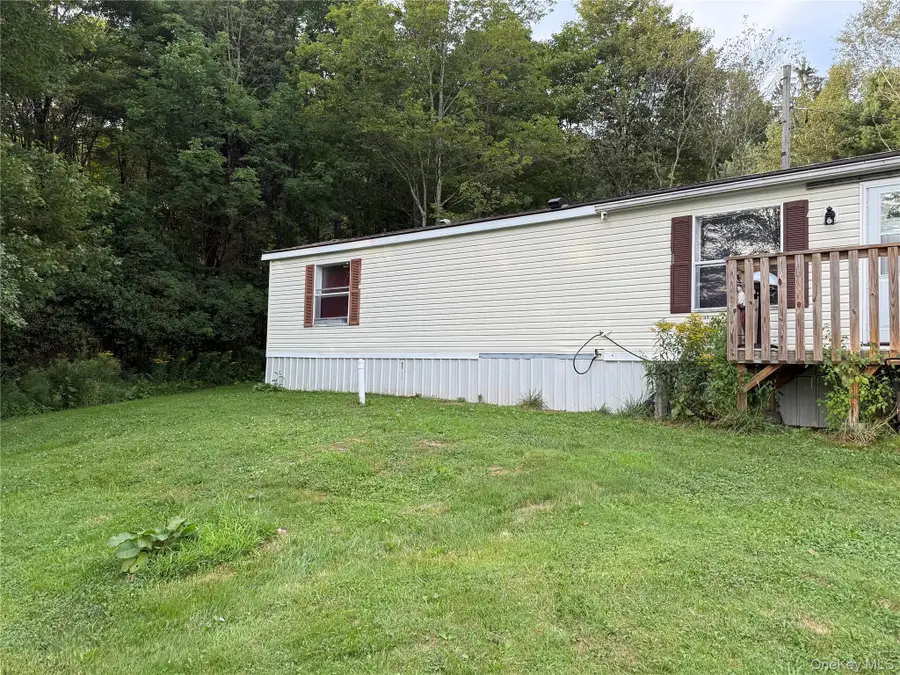 811 Briscoe, Liberty Town, NY 12783 - Image #2