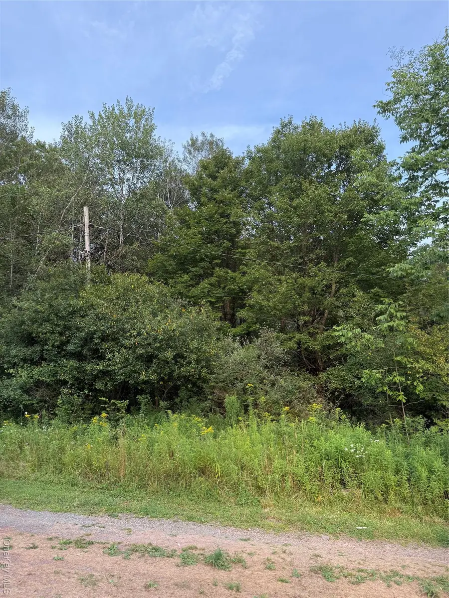 811 Briscoe, Liberty Town, NY 12783 - Image #3