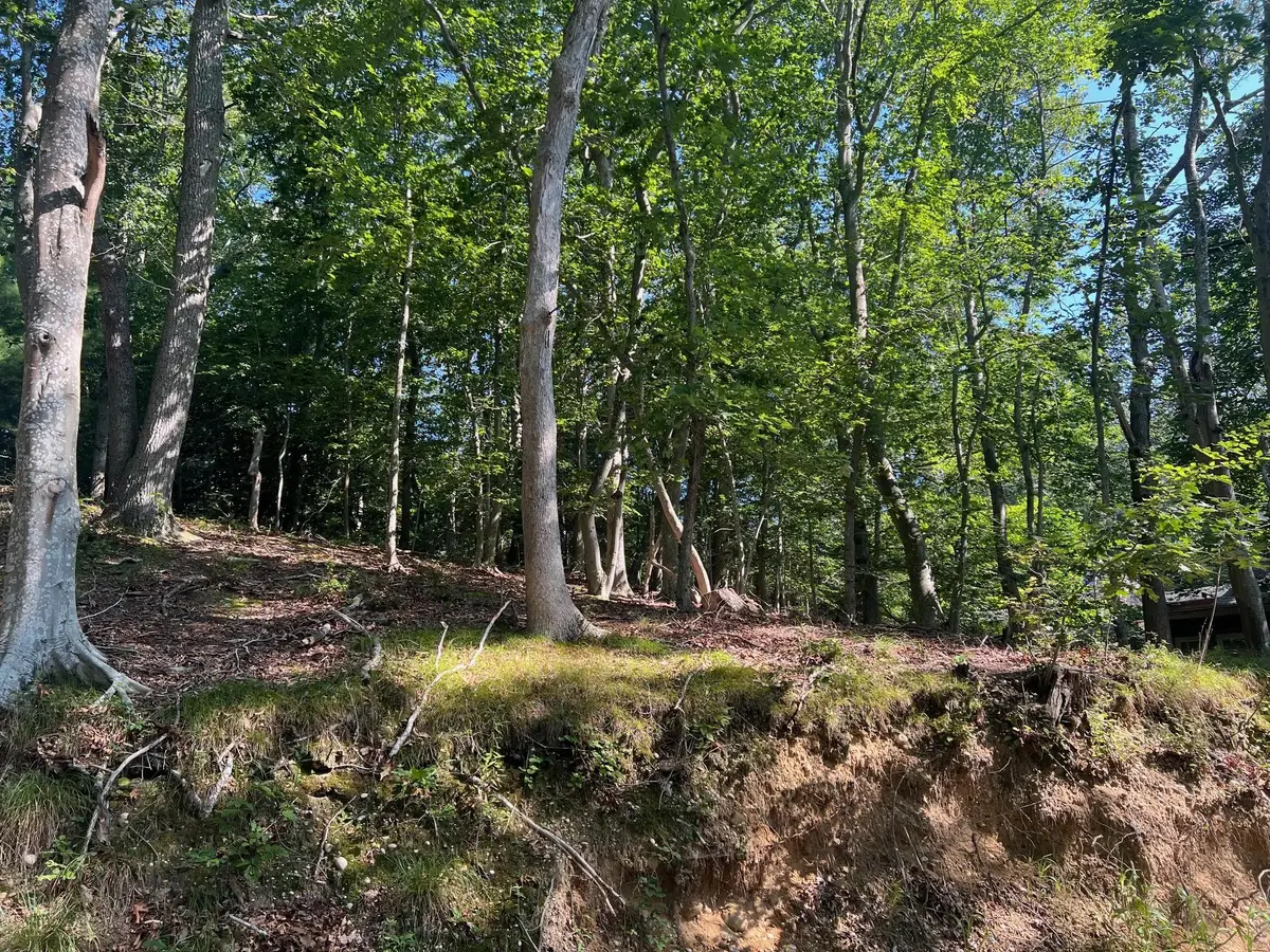 Fern Road, Calverton, NY 11933 - Image #1