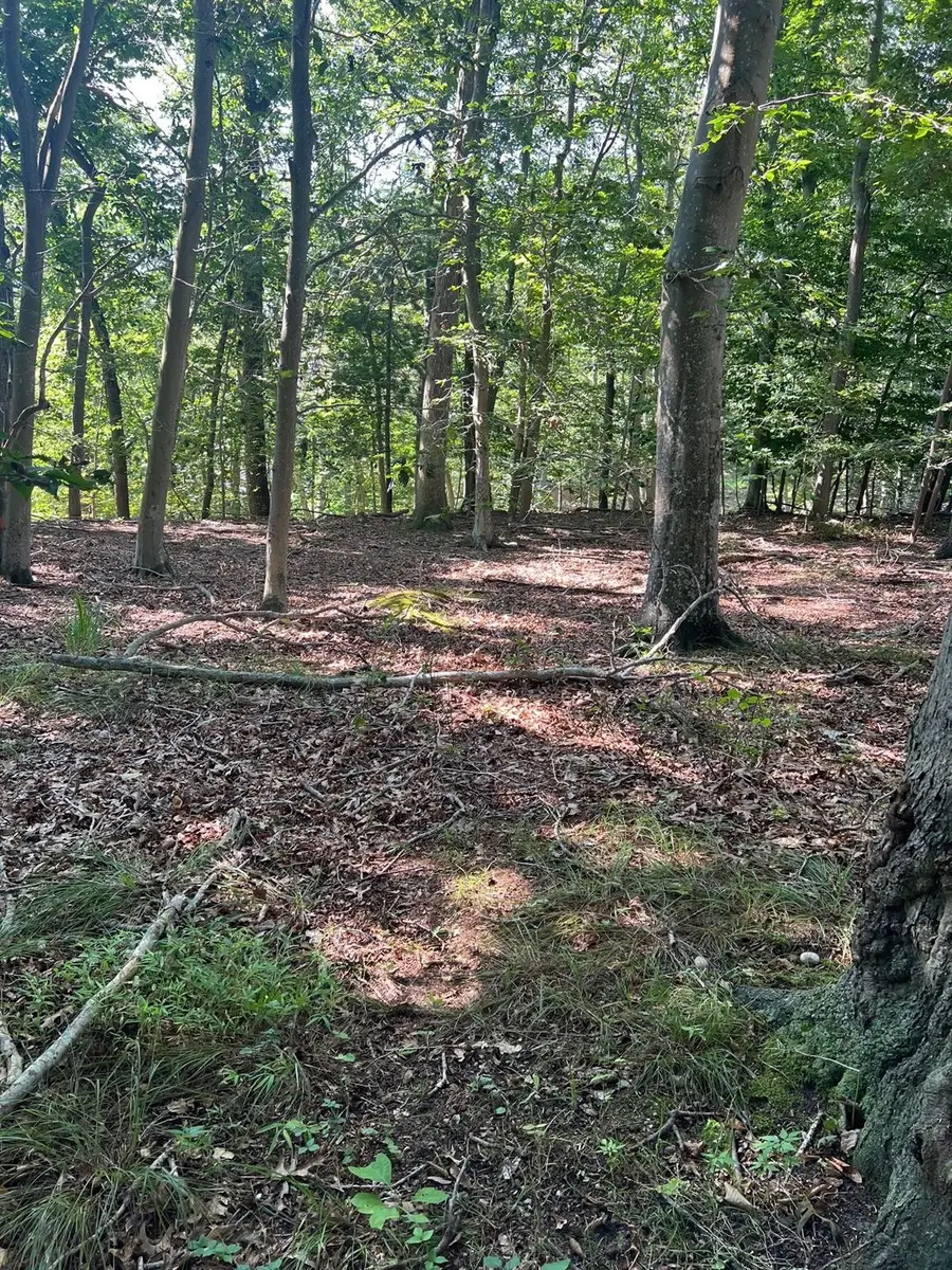 Fern Road, Calverton, NY 11933 - Image #3