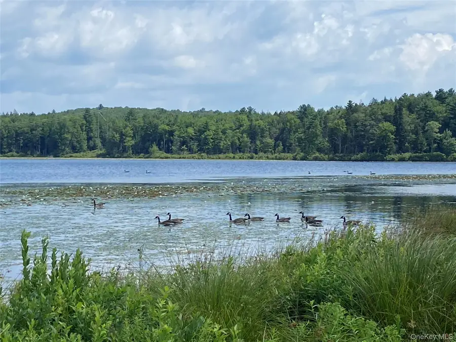 15 Bailey Lake Road, Kiamesha Lake, NY 12751 - Image #3