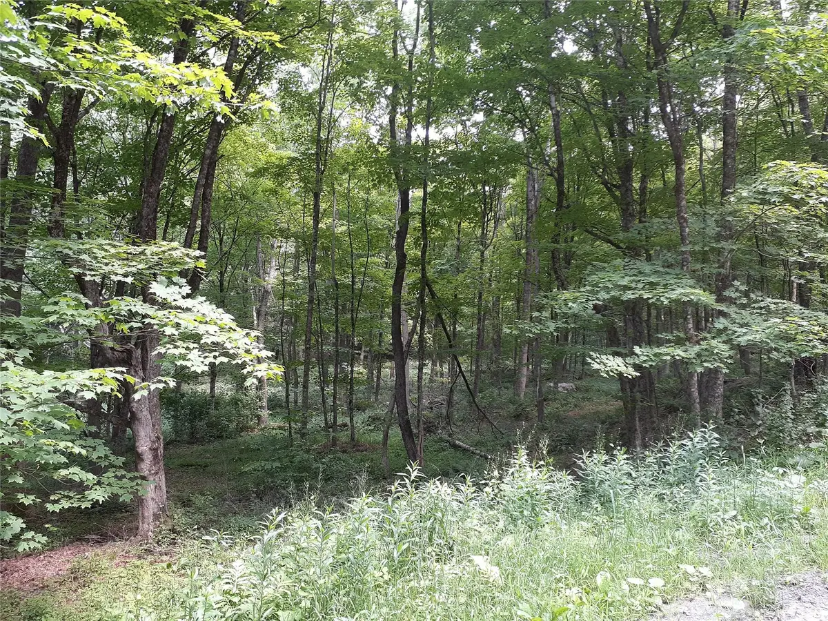 1407 Eminence Road, East Branch, NY 13756 - Image #1