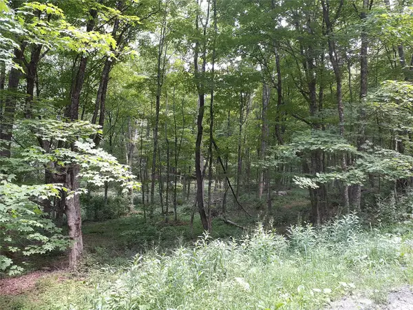 1407 Eminence Road, East Branch, NY 13756