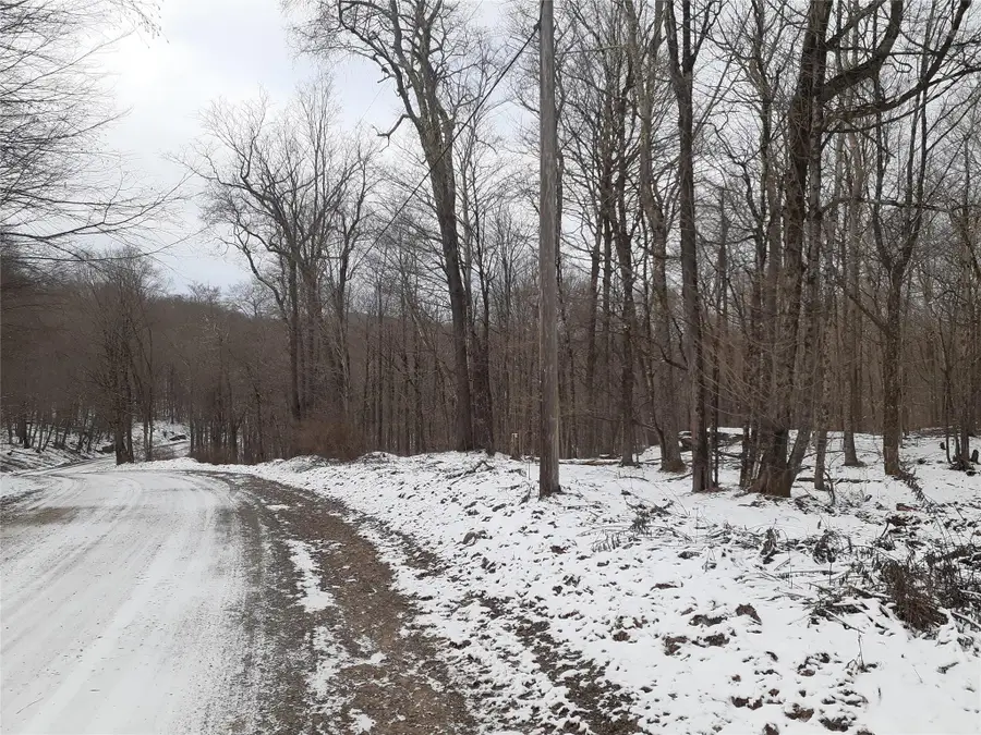 1407 Eminence Road, East Branch, NY 13756 - Image #2