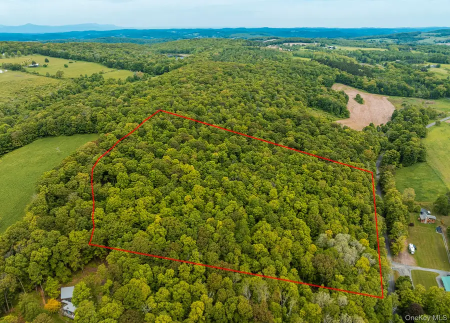 A Skunks Misery Road, Millerton, NY 12546 - Image #2