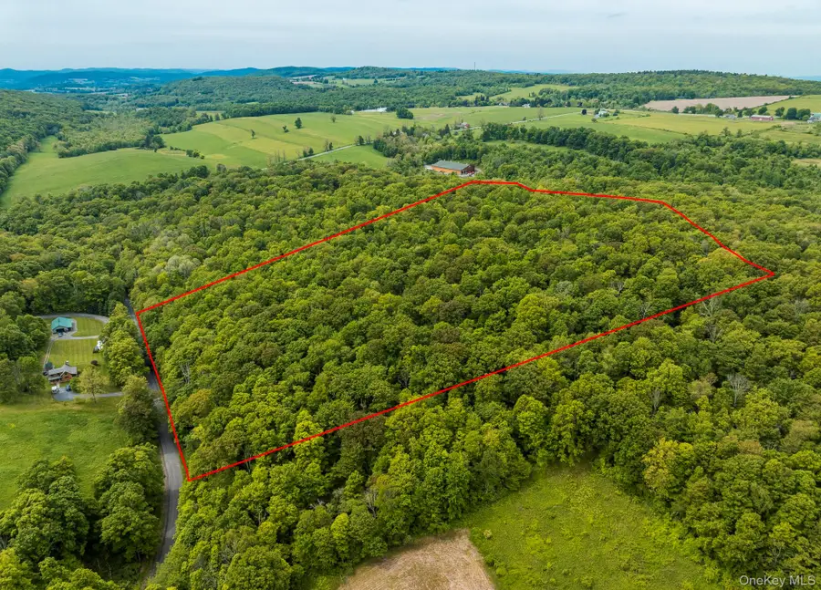 A Skunks Misery Road, Millerton, NY 12546 - Image #3