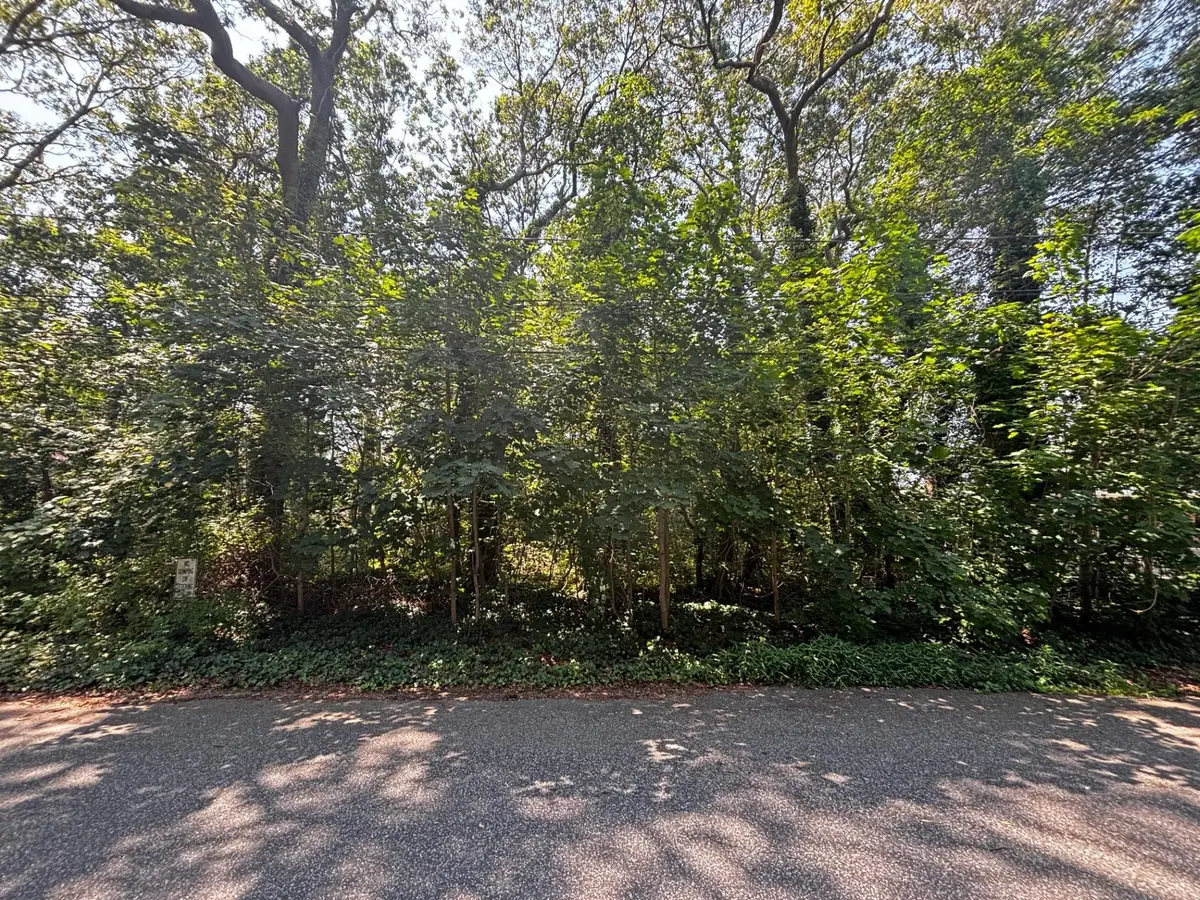 Holly Lane, Shirley, NY 11967 - Image #1